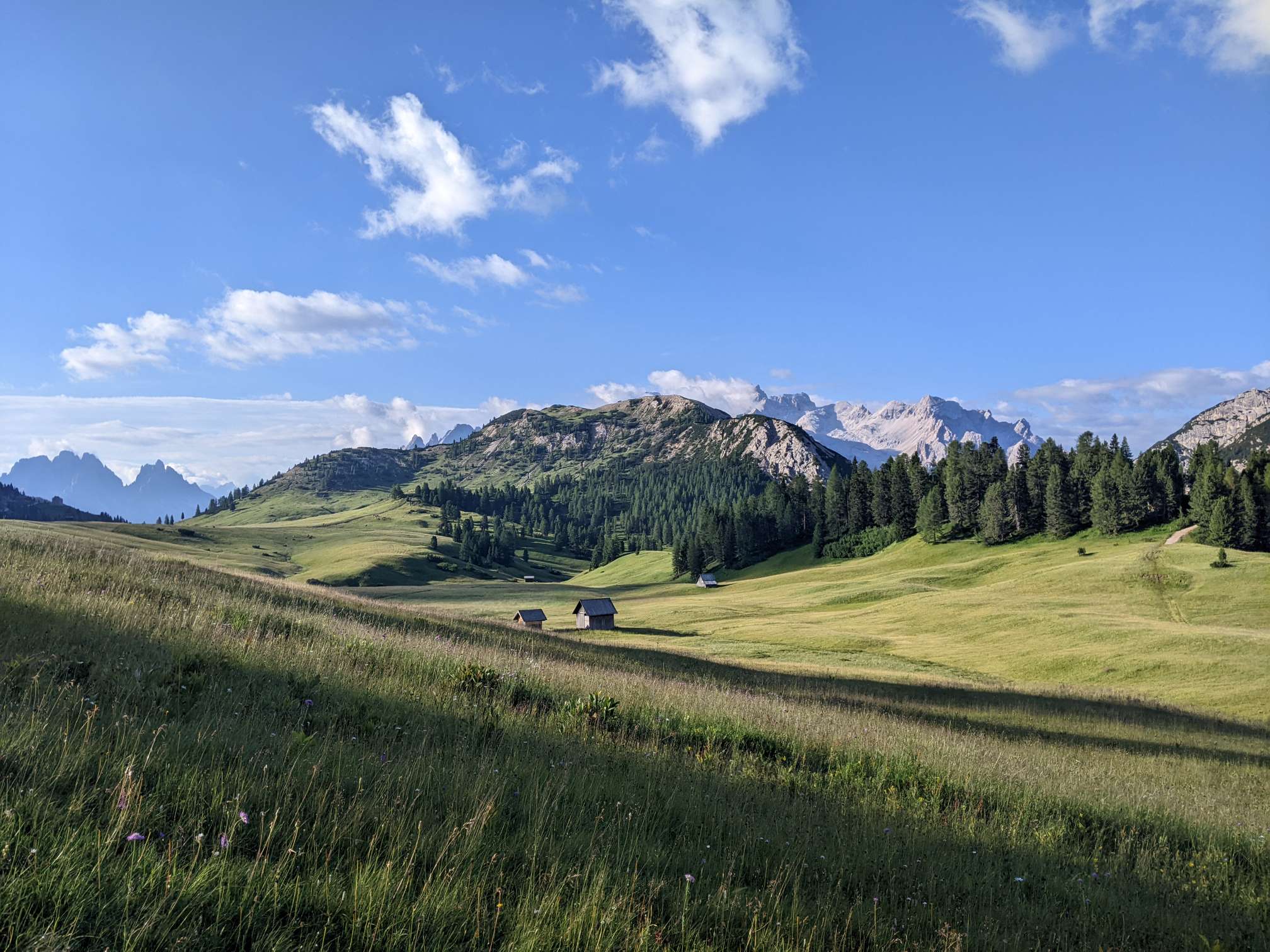 Trans-European Alpine Route