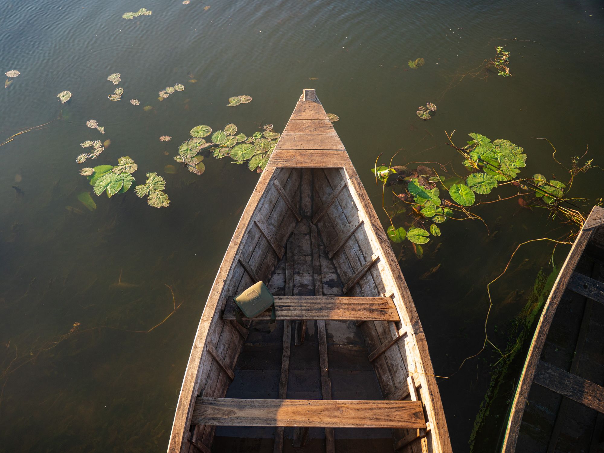 The Long Tail of Malawi
