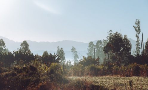 Zimbabwe