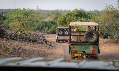 The Rainy Season Strikes Back