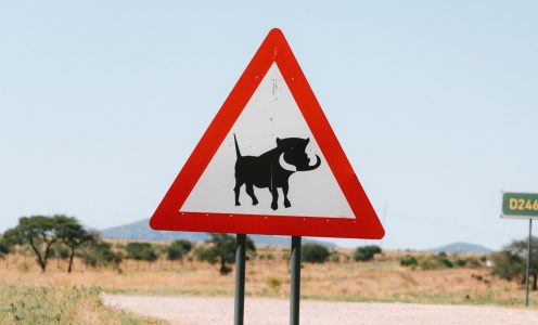 Riding Home for Christmas